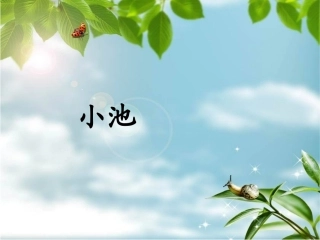 小学一年级下小池修改
