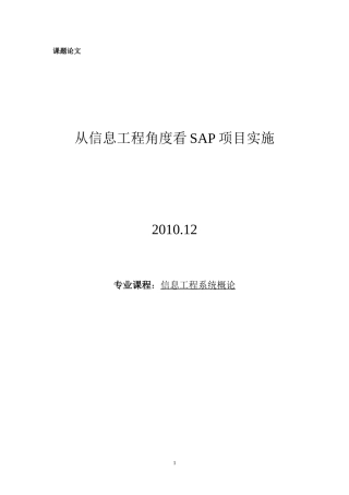 SAP项目实施得失浅谈
