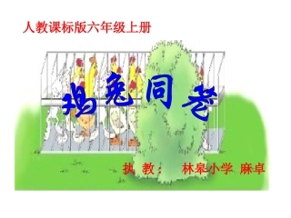 鸡兔同笼课件