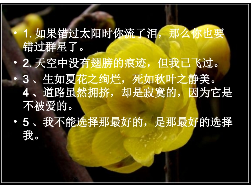 《素芭》课件_第1页