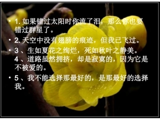《素芭》课件