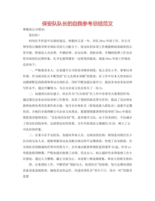 保安队队长的自我参考总结范文