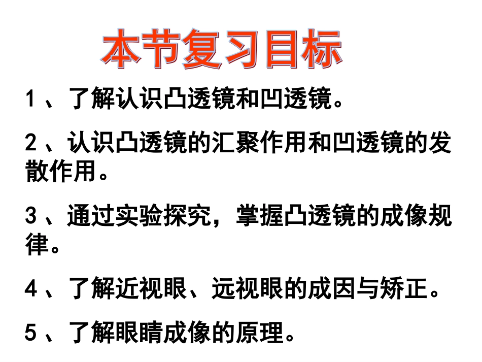 透镜及其应用复习课物理_第2页