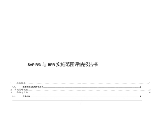 SAPR3与BPR实施范围评估报告书(1)