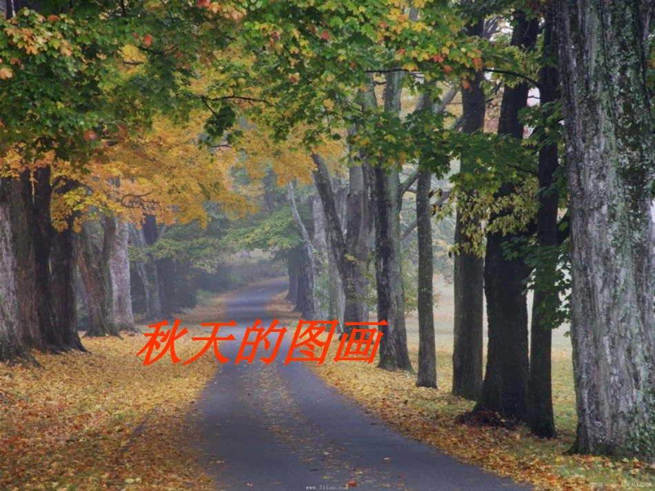三单元作文秋天的图画_第1页