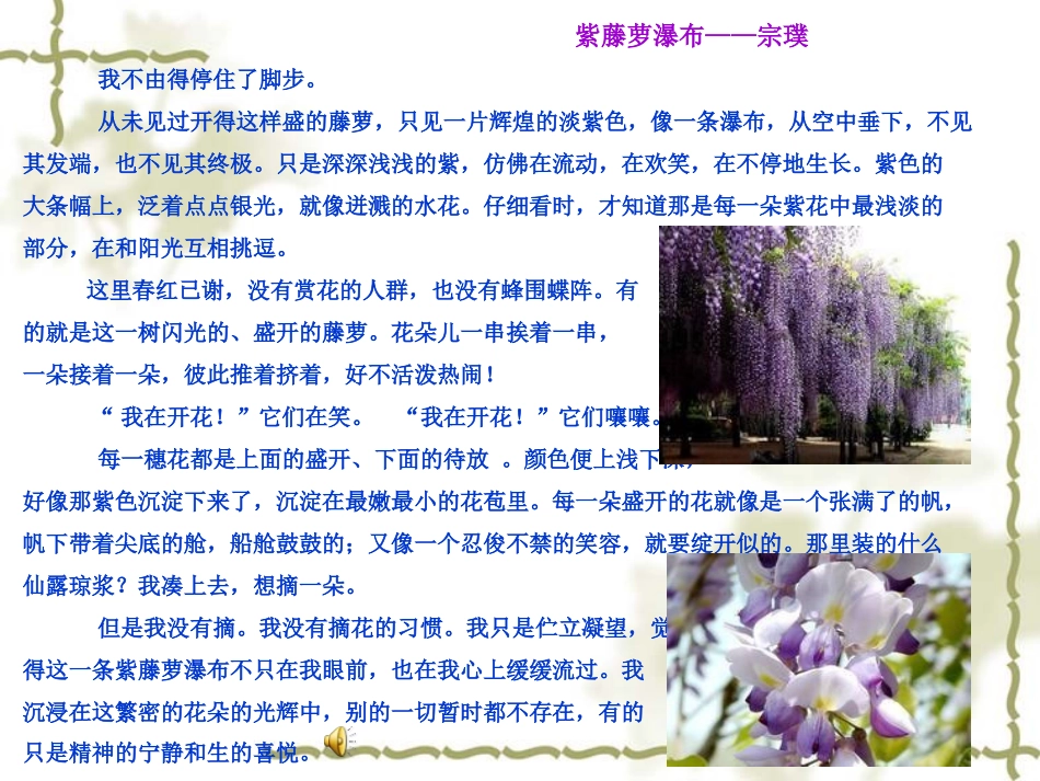 口语交际《观察的乐趣》_第1页