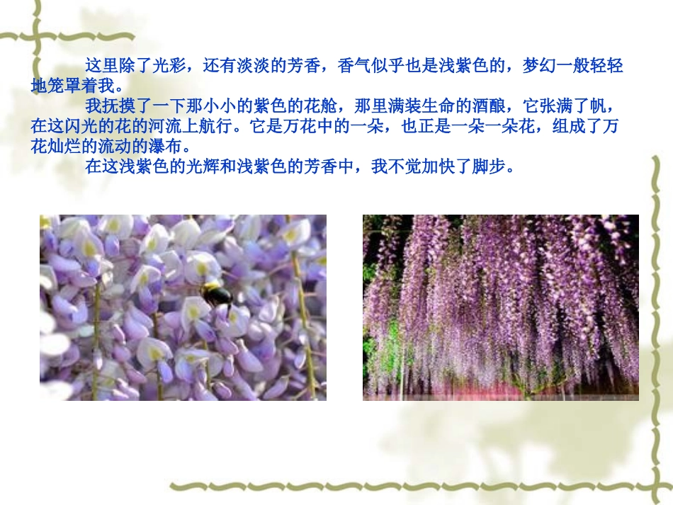 口语交际《观察的乐趣》_第2页