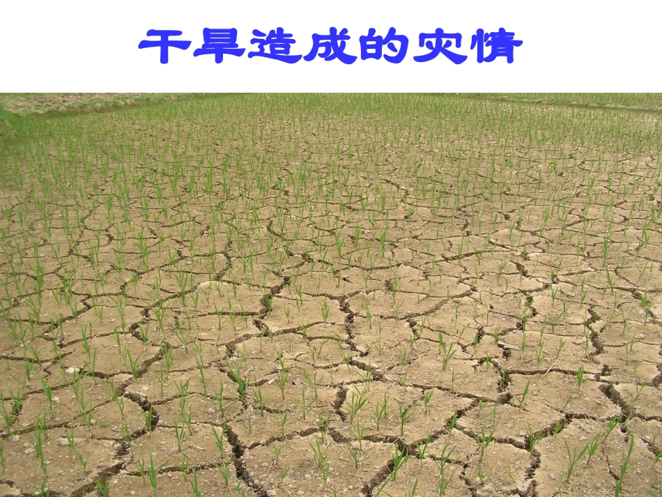 八年级上一次函数图像的应用_第3页