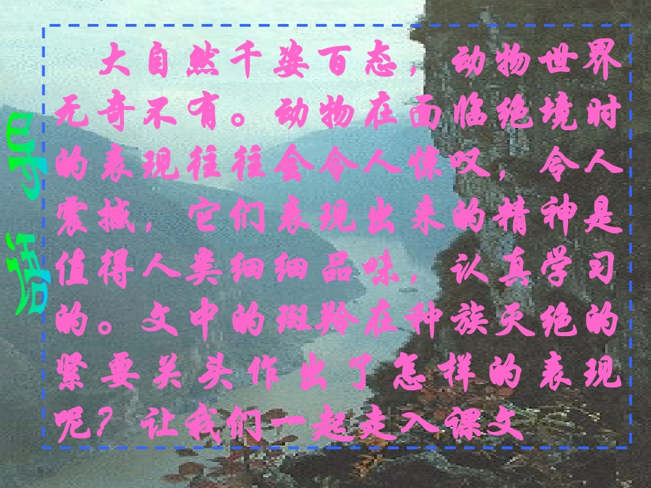 《斑羚飞渡》课件2_第2页