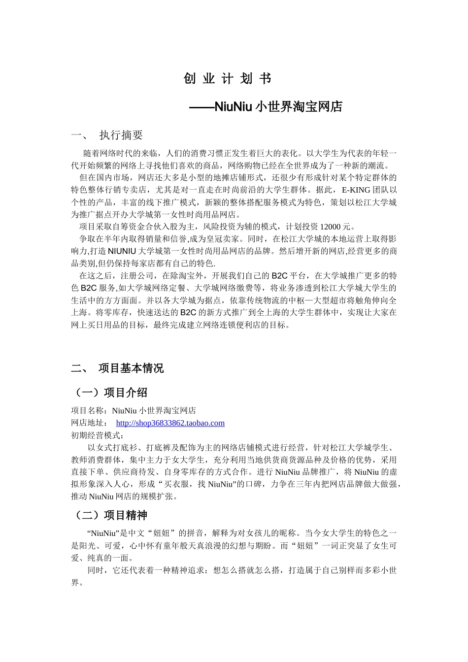 网店投资计划书_第2页