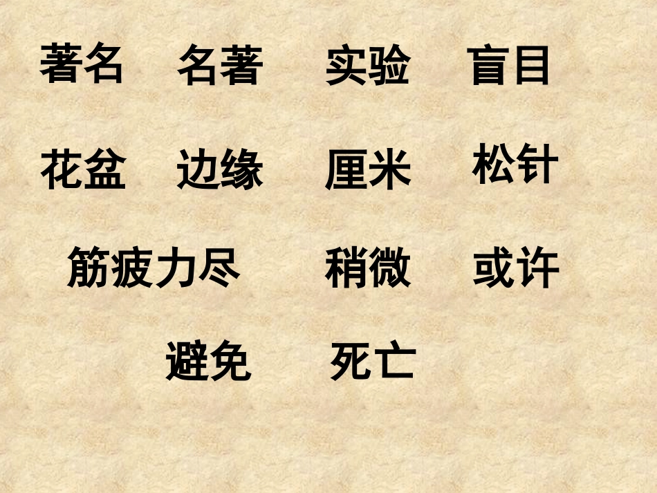 毛毛虫的故事_第3页