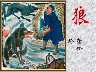 《狼》课件07nb