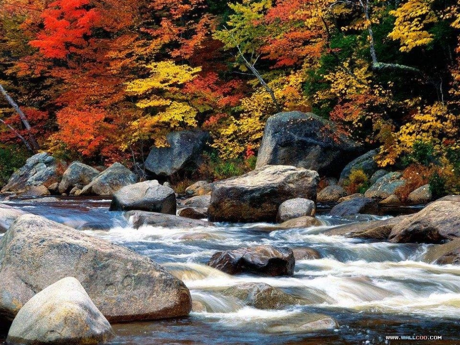 微课苏教版语文二年级上册《秋游》PPT_第3页