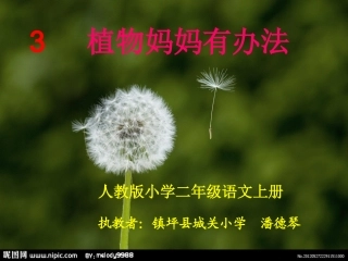 《植物妈妈有办法》课件(1)