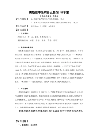 奥斯维辛没有什么新闻学生版