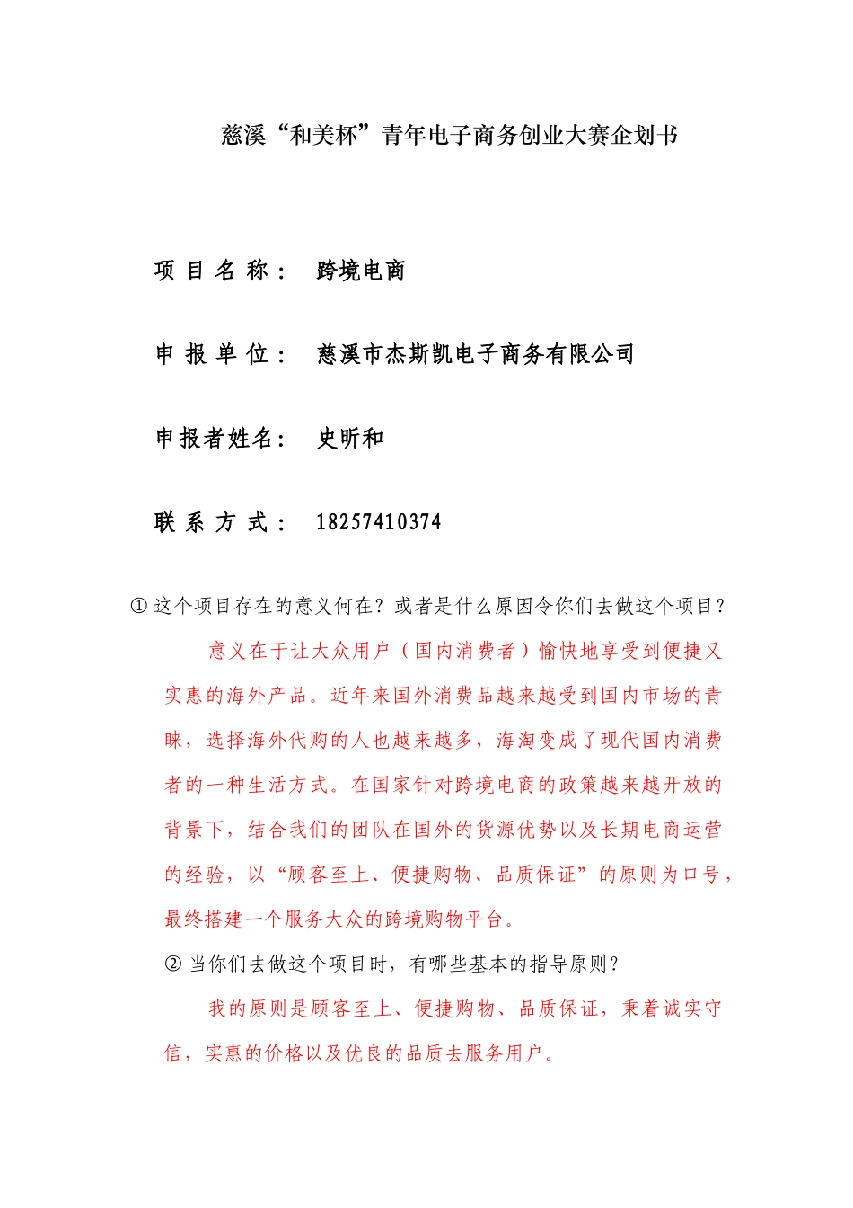 跨境电商初步发展计划_第1页