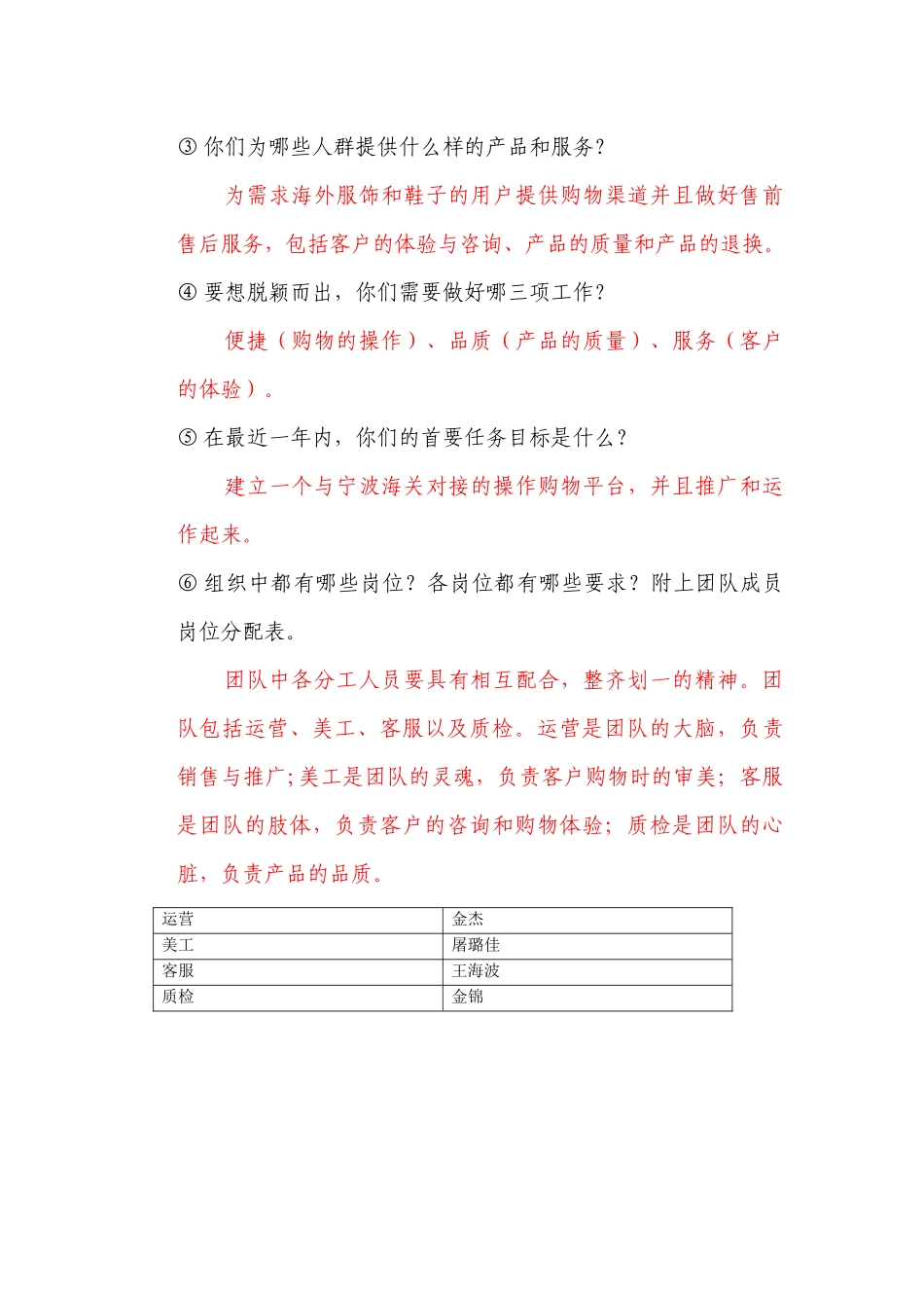 跨境电商初步发展计划_第2页