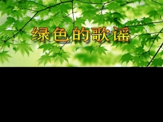 绿色歌谣音乐课课件