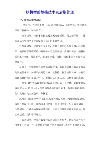 核桃树的嫁接技术及后期管理