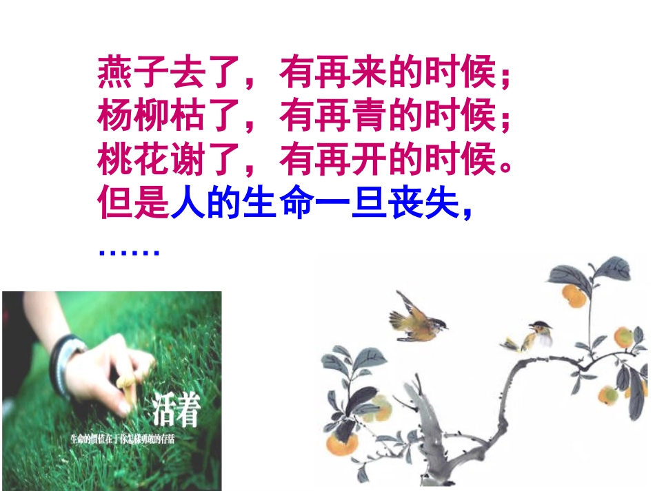 《永不放弃生的希望》课件_第2页