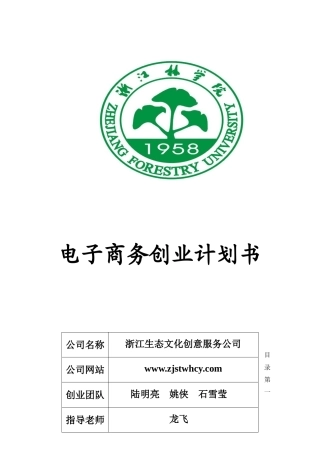 电商大赛文本模板09稿(省二等奖)