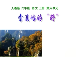 （人教版）六年级语文上册课件索溪峪的“野”1