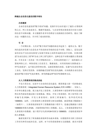 跨越企业信息化建设的数字鸿沟