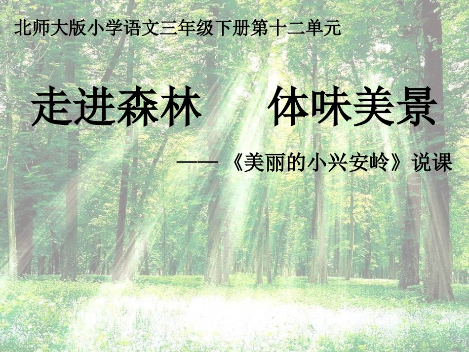 美丽的小兴安岭简约_第1页