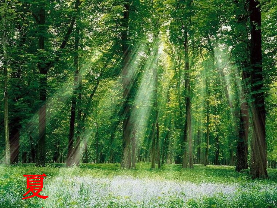 美丽的小兴安岭简约_第3页