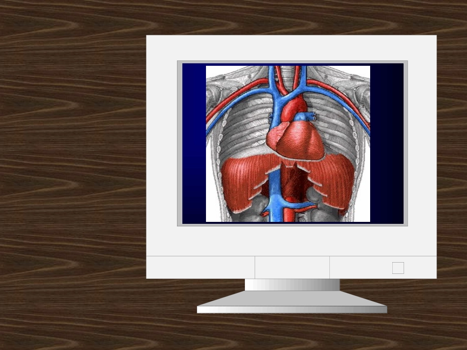 发生在肺内的气体交换_第3页
