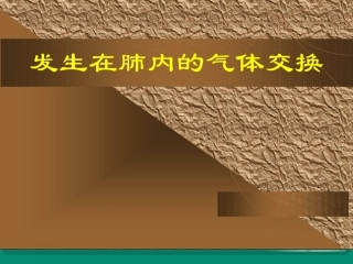 发生在肺内的气体交换