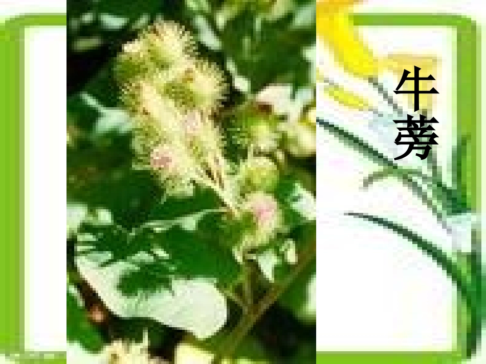 《爷爷的毡靴》01_第3页