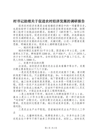 村书记助理关于促进农村经济发展的调研报告