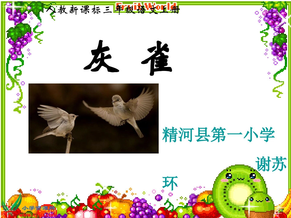 三年级语文上册《灰雀》PPT课件_第2页