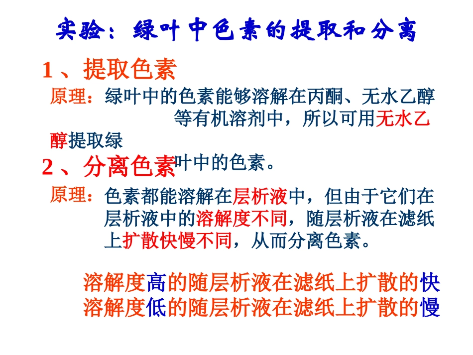 色素的提取与分离_第2页
