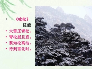 六年级语文苍松怪石图题诗课件