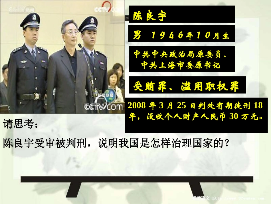 十二课法律的尊严_第2页