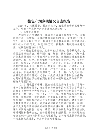 挂包产烟乡镇情况自查报告