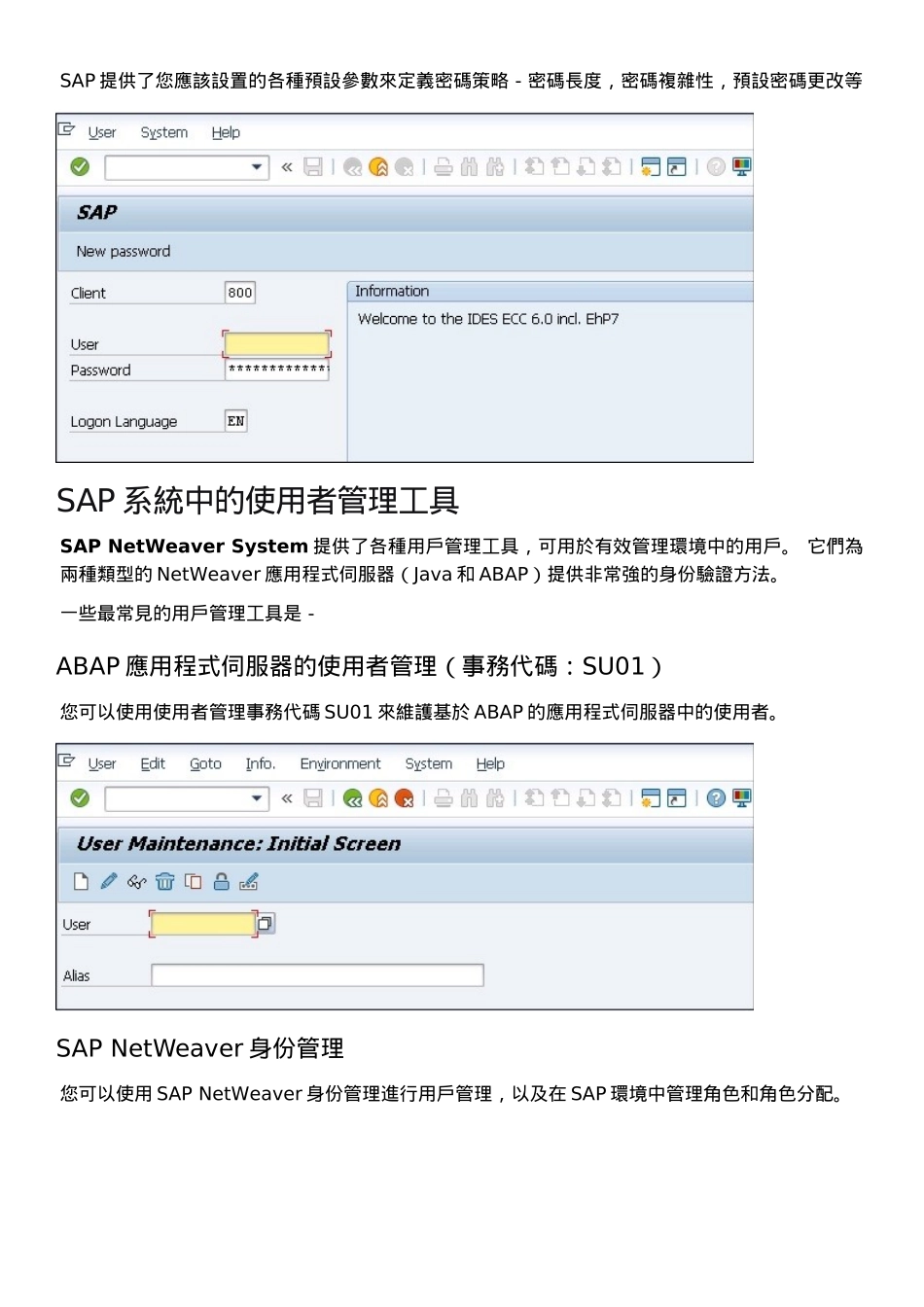SAP安全快速指南（DOC62页）_第3页