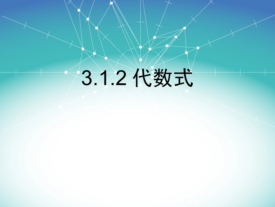 代数式(华东师大版)_第1页