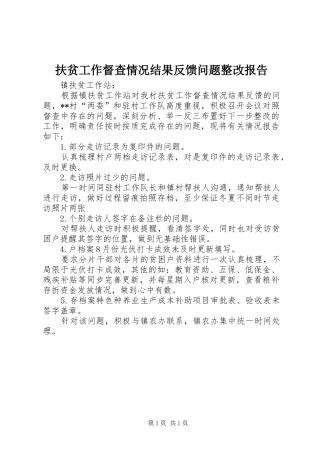 扶贫工作督查情况结果反馈问题整改报告
