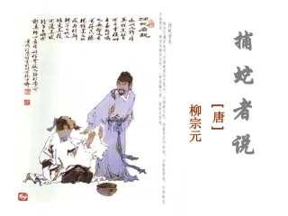 《捕蛇者说》课件（57页）