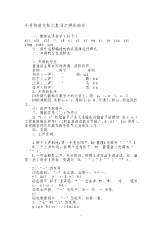 小升初语文知识复习之拼音部分 (2)