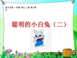 聪明的小白兔(二)
