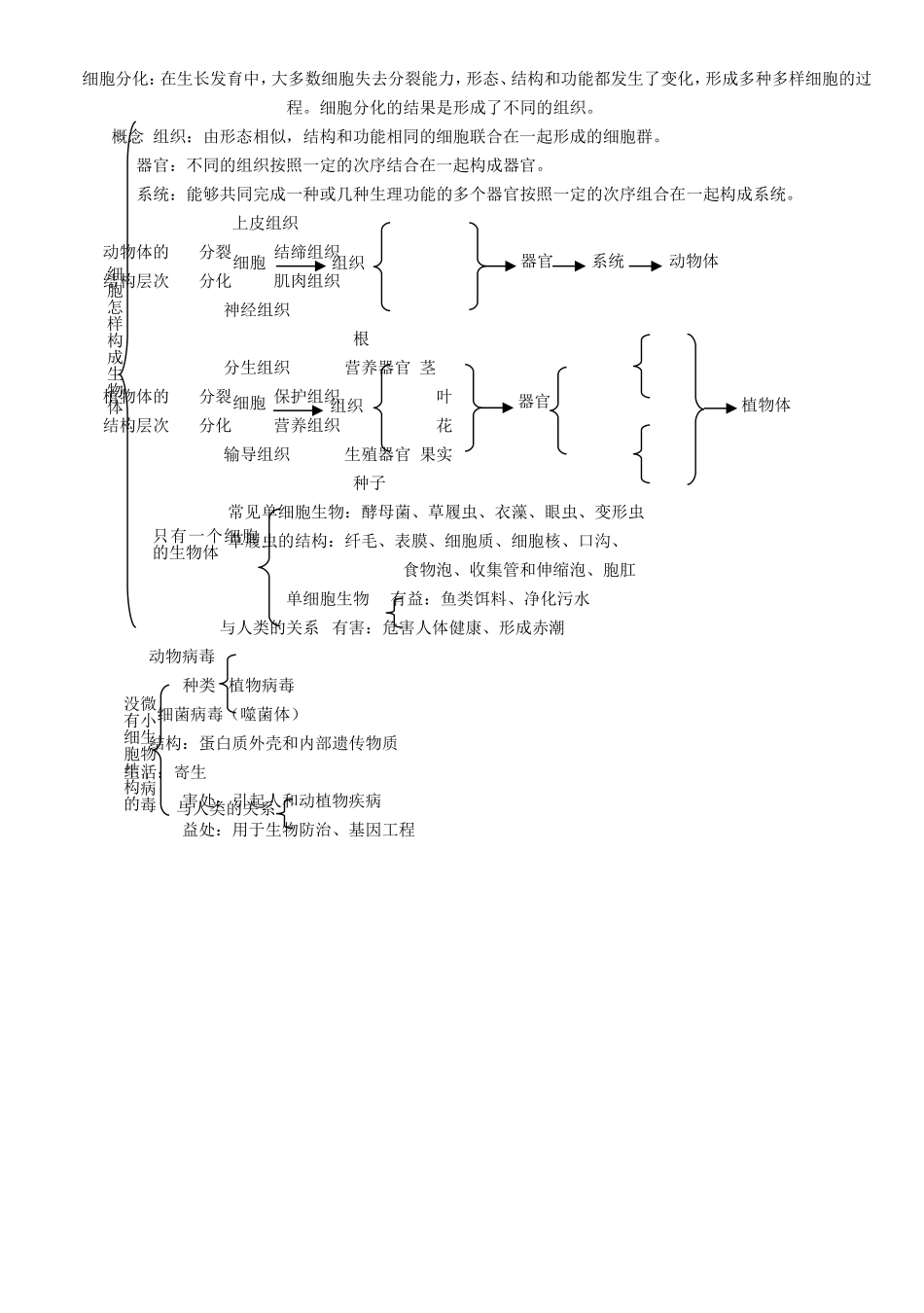 初中生物知识结构_第3页