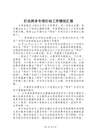 打击两非专项行动工作情况汇报