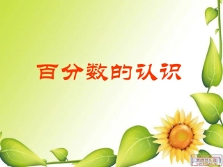 百分数的认识五下