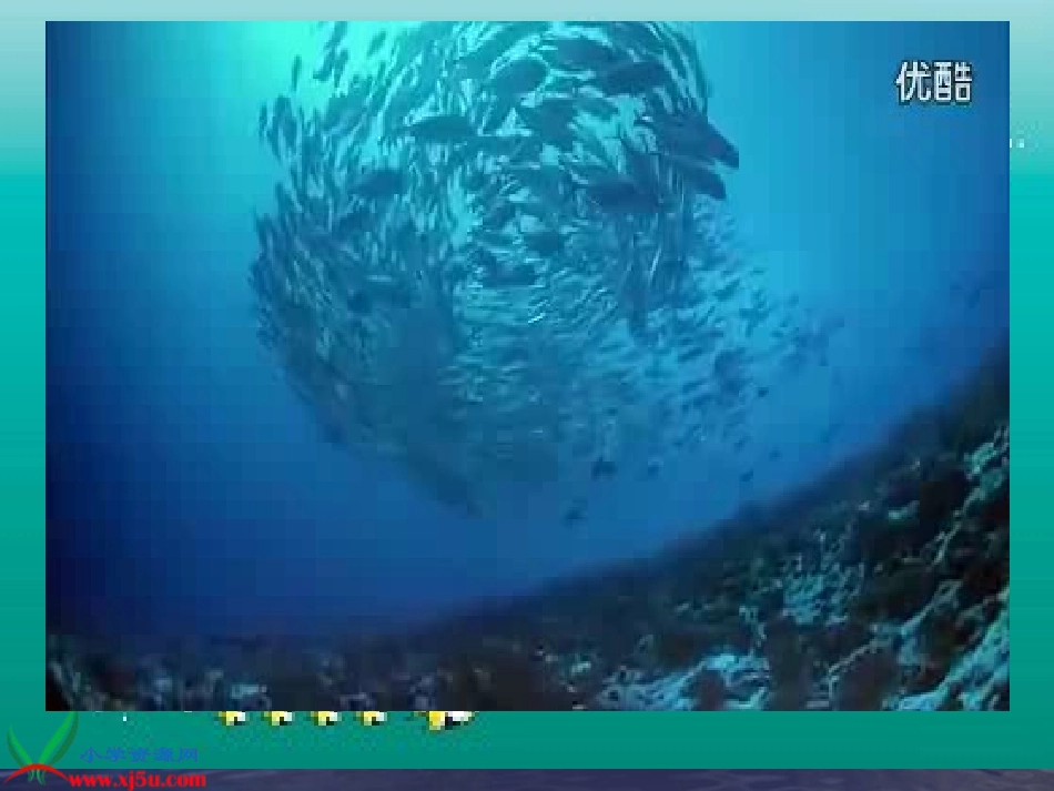 殷盼盼《浅水洼里的小鱼》课件_第2页