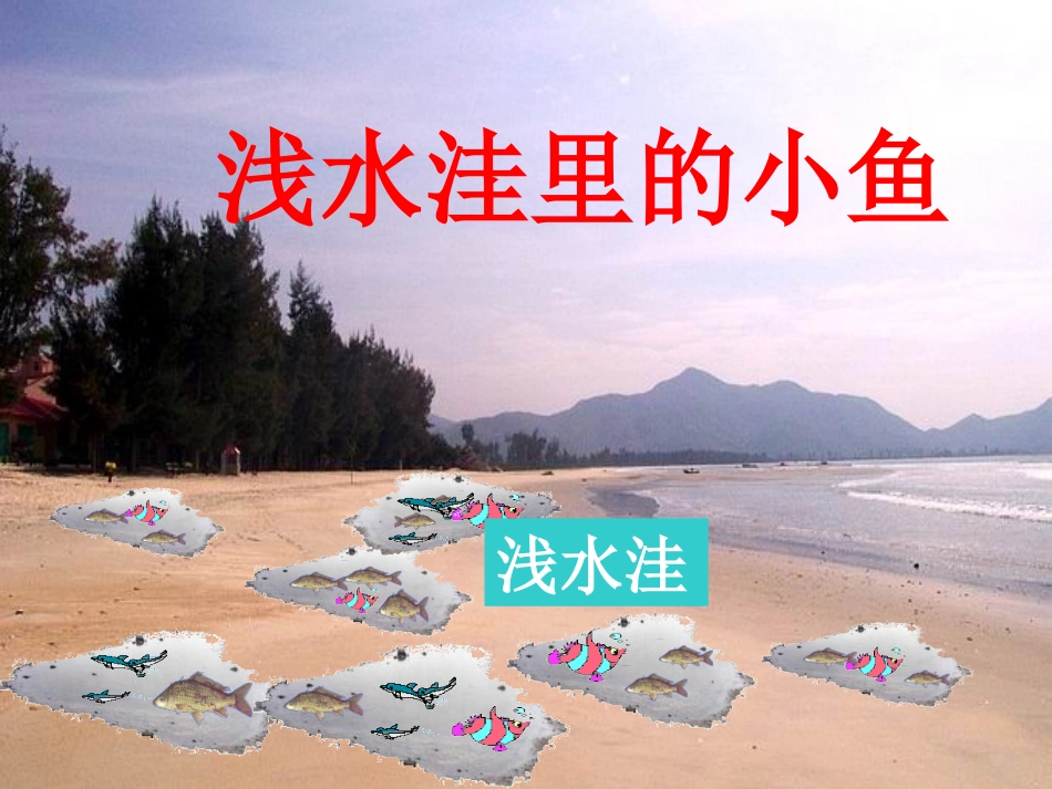 殷盼盼《浅水洼里的小鱼》课件_第3页