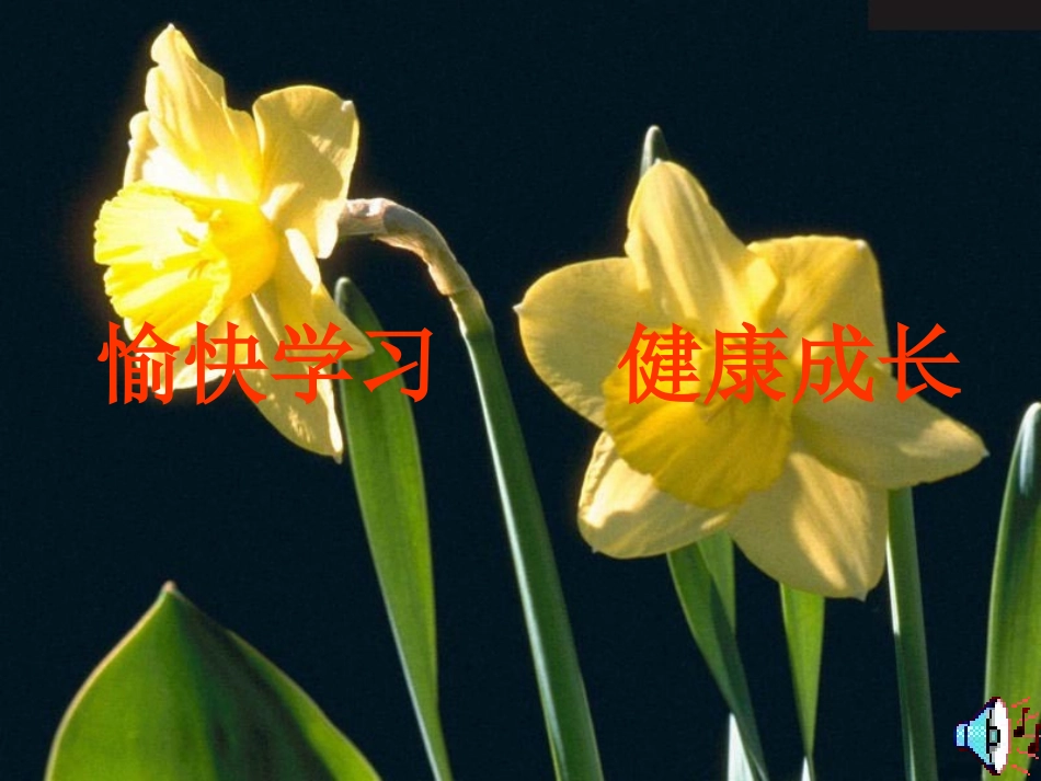 圆柱的表面积 (2)_第2页